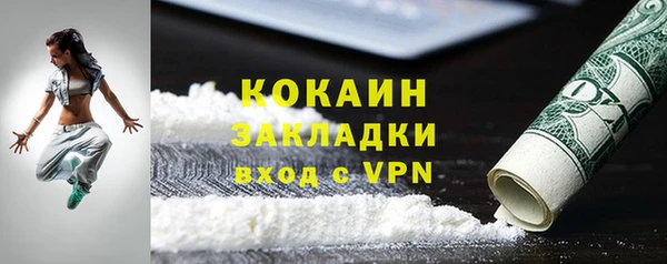 шишки Нефтегорск
