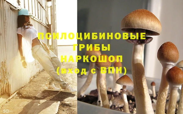 2c-b Нея