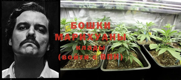 шишки Нефтегорск