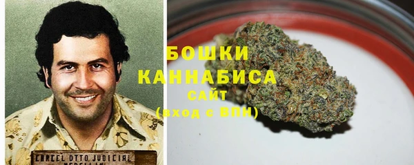 шишки Нефтегорск