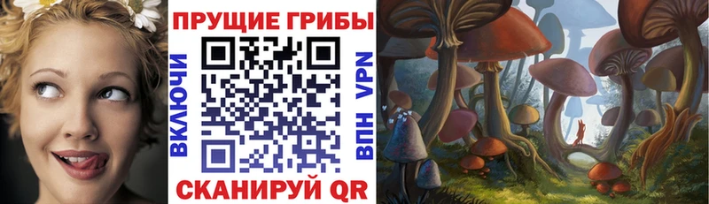 Купить где  Чёрмоз  Псилоцибиновые грибы прущие грибы 