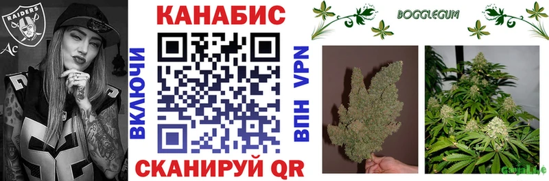 Купить закладки  Чёрмоз  Бошки марихуана SATIVA & INDICA 